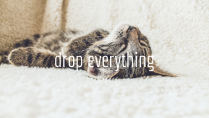 drop everything